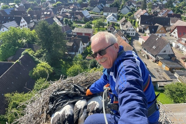 Martin Kury vom Verein Wei&szlig;storch Breisgau e.V. beringt die St&ouml;rche der Gemeinde V&ouml;rstetten 
