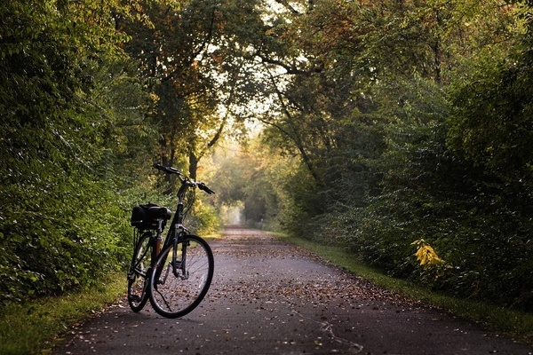 Stadtradeln, Fahrrad, Pfad, Sport